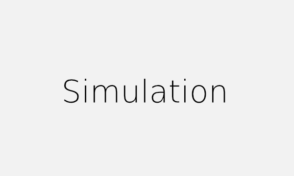 Simulations